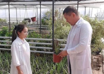 ТҮРКІСТАН: КЕЛЕСТІК ОҚУШЫ ҚЫЗ ЖЫЛЫЖАЙДА ЕРЕКШЕ ГҮЛ ТҮРЛЕРІН ӨСІРЕДІ