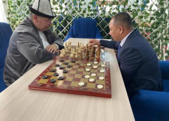 ТҮРКІСТАН: ОРДАБАСЫДАҒЫ ЗАУЫТ ТӘУЛІГІНЕ 100 МЫҢ ДАНА ҚЫШ ӨНДІРЕДІ