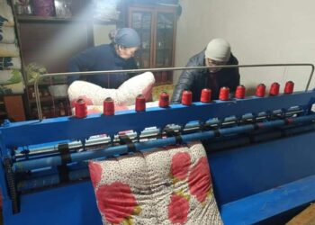 ТҮРКІСТАН: СОЗАҚТА «АУЫЛ АМАНАТЫНЫҢ» АРҚАСЫНДА КӘСІП АШҚАНДАР САНЫ КӨБЕЙІП КЕЛЕДІ