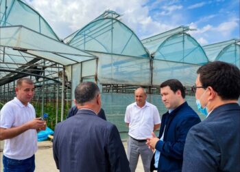 ТҮРКІСТАН ОБЛЫСЫНДАҒЫ ЖЫЛЫЖАЙЛАРҒА 150 МЫҢ ТОННА КӨМІР ОТЫНЫ ЖЕТКІЗІЛЕДІ