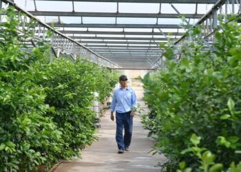 ТҮРКІСТАН ОБЛЫСЫНДА АУЫЛ ШАРУАШЫЛЫҒЫ ӨНІМІНІҢ КӨЛЕМІ 1 ТРЛН. ТЕҢГЕДЕН АСЫП, РЕСПУБЛИКАДА КӨШ БАСТАДЫ