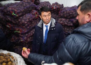 ТҮРКІСТАН ОБЛЫСЫНДА АЗЫҚ-ТҮЛІК БАҒАСЫН ТҰРАҚТАНДЫРУ МАҚСАТЫНДА ҚОЙМАЛАР КӨБЕЙЕДІ