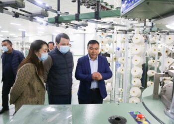 ҚЫТАЙЛЫҚ КОМПАНИЯ ТҮРКІСТАН ОБЛЫСЫНДА МАҚТА КЛАСТЕРІН ДАМЫТУҒА ИНВЕСТИЦИЯ САЛУҒА ДАЙЫН