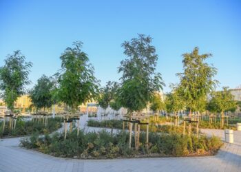 ТҮРКІСТАН ОБЛЫСЫНДА ТҰҚЫМБАҚТАР САНЫ АРТАДЫ