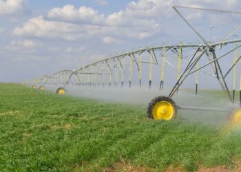 ТҮРКІСТАН: МАҚТА-ТОҚЫМА КЛАСТЕРІН ДАМЫТУ БОЙЫНША ЖАСАЛҒАН ІС-ШАРА ЖОСПАРЫНЫҢ ОРЫНДАЛУЫ ПЫСЫҚТАЛДЫ