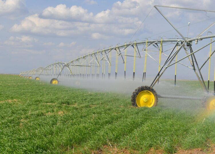 ТҮРКІСТАН: МАҚТА-ТОҚЫМА КЛАСТЕРІН ДАМЫТУ БОЙЫНША ЖАСАЛҒАН ІС-ШАРА ЖОСПАРЫНЫҢ ОРЫНДАЛУЫ ПЫСЫҚТАЛДЫ