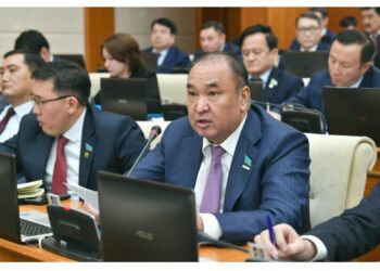 «Қашанғы көршілердің көңіліне қараймыз?». Депутат трансшекаралық өзен-су мәселесін көтерді