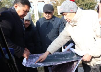 САЯБАҚТАР САҚТАЛАДЫ