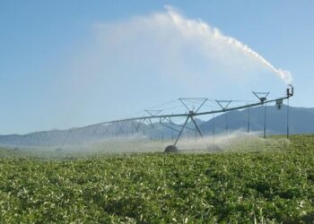 ТҮРКІСТАН ОБЛЫСЫНДА КӨКТЕМГІ ДАЛА ЖҰМЫСТАРЫНА ҚОЛДА БАР ТЕХНИКАНЫҢ 95 ПАЙЫЗЫ ДАЙЫН