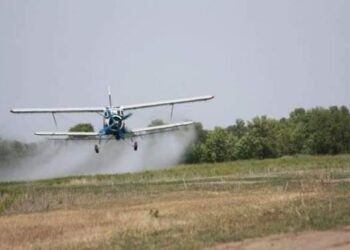 ТҮРКІСТАН: КЕЛЕСТЕ МАРОККО ШЕГІРТКЕСІНЕ ҚАРСЫ КҮРЕС ЖҰМЫСТАРЫ ПЫСЫҚТАЛДЫ