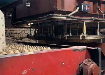 ТҮРКІСТАН: САРЫАҒАШТА ЦЕХ ТӘУЛІГІНЕ 35 МЫҢ ДАНА ЖҰМЫРТҚА ҚОРАБЫН ӨНДІРЕДІ