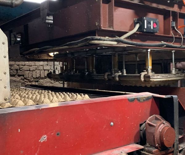 ТҮРКІСТАН: САРЫАҒАШТА ЦЕХ ТӘУЛІГІНЕ 35 МЫҢ ДАНА ЖҰМЫРТҚА ҚОРАБЫН ӨНДІРЕДІ