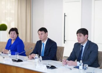 ДАРХАН САТЫБАЛДЫ ТҮРІК ИНВЕСТОРЛАРЫМЕН КЕЗДЕСТІ