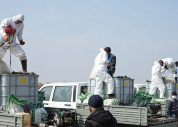 ТҮРКІСТАН ОБЛЫСЫНДА ШІРКЕЙГЕ ҚАРСЫ ДӘРІЛЕУ ЖҰМЫСТАРЫ БАСТАЛДЫ