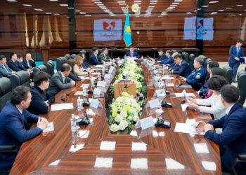 ҚАЛА ӘКІМІ БИЗНЕС ҚАУЫМДАСТЫҒЫ ӨКІЛДЕРІМЕН КЕЗДЕСТІ