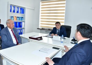 «Бизнеске жол» жобасымен Ордабасылық кәсіпкерлер жеке қабылдауда болды