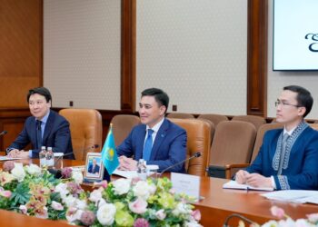 ҒАБИТ СЫЗДЫҚБЕКОВ ФРАНЦИЯЛЫҚ ӘРІПТЕСТЕРІН БІРЛЕСКЕН ЖОБАЛАРҒА ИНВЕСТИЦИЯ ЖАСАУҒА ШАҚЫРДЫ