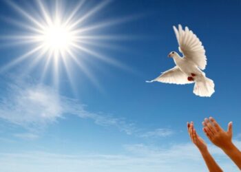 ДІН САЛАСЫНДАҒЫ МЕМЛЕКЕТТІК САЯСАТТЫҢ ПРИНЦИПТЕРІ (-2-)