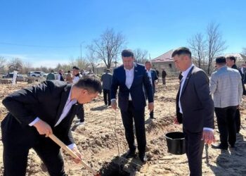 САУРАН: САУРАНДА 1000 ТҮП ЖЕМІС АҒАШЫ ОТЫРҒЫЗЫЛДЫ