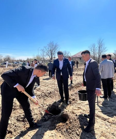 САУРАН: САУРАНДА 1000 ТҮП ЖЕМІС АҒАШЫ ОТЫРҒЫЗЫЛДЫ