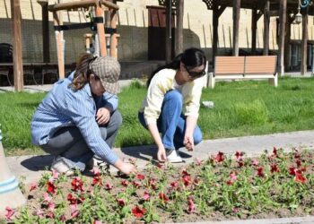 ТҮРКІСТАН: «ҚОҒАМДЫҚ КЕЛІСІМ» КММ ҰЖЫМЫ «ТАЗА ҚАЗАҚСТАН» АКЦИЯСЫНА ҮЛЕС ҚОСТЫ