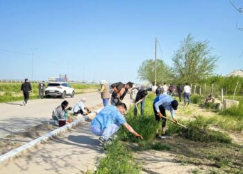 САУРАН АУДАНЫНДА ЭКО АКЦИЯ АЯСЫНДАҒЫ ЖАППАЙ СЕНБІЛІК БОЛЫП ӨТТІ