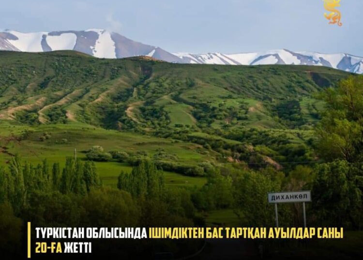 ТҮРКІСТАН ОБЛЫСЫНДА ІШІМДІКТЕН БАС ТАРТҚАН АУЫЛДАР САНЫ 20-ҒА ЖЕТТІ