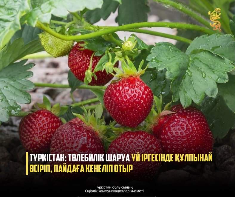 Моншадағы жалаңаш курсанттардың суреттері Қытайлық порно әкелер