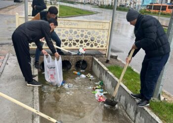 ТҮРКІСТАН ОБЛЫСЫНДА «ТАЗА ҚАЗАҚСТАН» АКЦИЯСЫ АЯСЫНДА 145 МЫҢҒА ЖУЫҚ АҒАШ ПЕН БҰТА ЕГІЛДІ