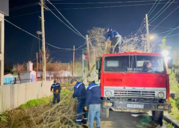 ТҮРКІСТАН ОБЛЫСЫНЫҢ ТҰРҒЫНДАРЫ «ТАЗА ҚАЗАҚСТАН» ЭКОЛОГИЯЛЫҚ АКЦИЯСЫНА БЕЛСЕНДІ ҚОЛДАУ КӨРСЕТУДЕ