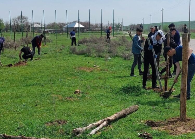 ТҮРКІСТАН: «ТАЗА ҚАЗАҚСТАН» ЭКОЛОГИЯЛЫҚ АКЦИЯСЫНА ОРДАБАСЫЛЫҚТАР БЕЛСЕНДІ АТСАЛЫСУДА