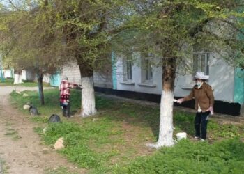 ТҮРКІСТАН: САУРАНДЫҚТАР «ТАЗА ҚАЗАҚСТАН» АКЦИЯСЫ АЯСЫНДА АУДАН АУМАҒЫНДА АБАТТАНДЫРУ ЖҰМЫСТАРЫН ЖҮРГІЗУДЕ