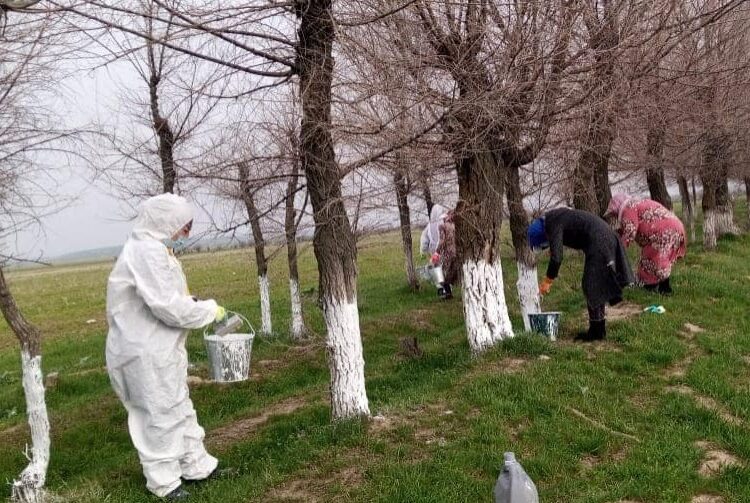 ТҮРКІСТАН: САЙРАМДА ЭКОЛОГИЯЛЫҚ АКЦИЯ АЯСЫНДА 3 МЫҢҒА ЖУЫҚ АҒАШ КӨШЕТІ ОТЫРҒЫЗЫЛДЫ