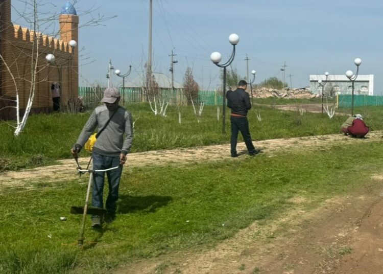 ТҮРКІСТАН: САРЫАҒАШТЫҚТАР ЭКОЛОГИЯЛЫҚ АКЦИЯҒА БЕЛСЕНЕ ҚАТЫСУДА