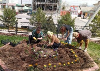 ТҮРКІСТАН: ҚАЗЫҒҰРТТА «ТАЗА ҚАЗАҚСТАН» АКЦИЯСЫ АЯСЫНДА ЖАЛПЫХАЛЫҚТЫҚ СЕНБІЛІК ӨТІП ЖАТЫР