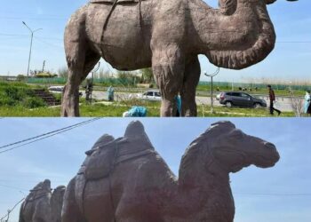 ТҮРКІСТАН: САРЫАҒАШТЫҚ ЖАСТАР ЭКОАКЦИЯ АЯСЫНДА МҮСІНДЕРДІ ӘРЛЕДІ