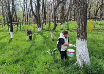 «ТАЗА ҚАЗАҚСТАН» АКЦИЯСЫ АЯСЫНДА ТҮЛКІБАСТЫҚ ВОЛОНТЕРЛАР 30 ТОННА КҮЛ-ҚОҚЫС ЖИНАДЫ