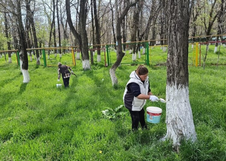 «ТАЗА ҚАЗАҚСТАН» АКЦИЯСЫ АЯСЫНДА ТҮЛКІБАСТЫҚ ВОЛОНТЕРЛАР 30 ТОННА КҮЛ-ҚОҚЫС ЖИНАДЫ