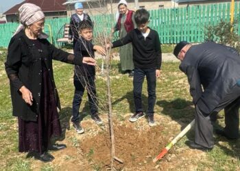 ТУРКЕСТАН: В РАМКАХ ЭКОАКЦИИ САРЫАГАШСКИЕ БАБУШКИ ВМЕСТЕ С ВНУКАМИ ПОСАДИЛИ САЖЕНЦЫ ДЕРЕВЬЕВ
