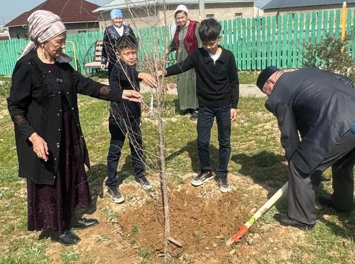 ТУРКЕСТАН: В РАМКАХ ЭКОАКЦИИ САРЫАГАШСКИЕ БАБУШКИ ВМЕСТЕ С ВНУКАМИ ПОСАДИЛИ САЖЕНЦЫ ДЕРЕВЬЕВ