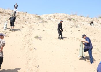 ЭКОАКЦИЯ АЯСЫНДА ШАРДАРАДА СУҚОЙМА ЖАҒАЛАУЫ ТАЗАРТЫЛДЫ