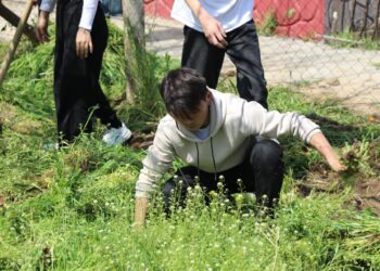 АРЫС ҚАЛАСЫНДА ЭКОАКЦИЯ АЯСЫНДА ҮЙ АУЛАЛАРЫН ТАЗАРТУ ЖҰМЫСТАРЫ ЖҮРДІ