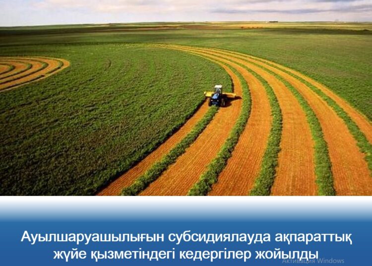 Түркістанда әкімдік 44 кәсіпкердің өтінішін уақтылы қарамаған