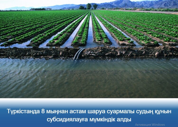 Ауылшаруашылығын субсидиялауда ақпараттық жүйе қызметіндегі кедергілер жойылды