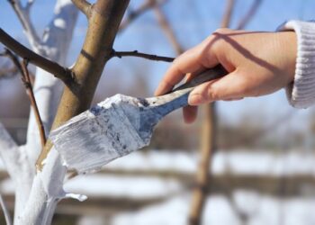 ТҮРКІСТАН ОБЛЫСЫНДА ЭКОАКЦИЯ АЯСЫНДА 140 МЫҢНАН АСТАМ АҒАШ ӘКТЕЛДІ