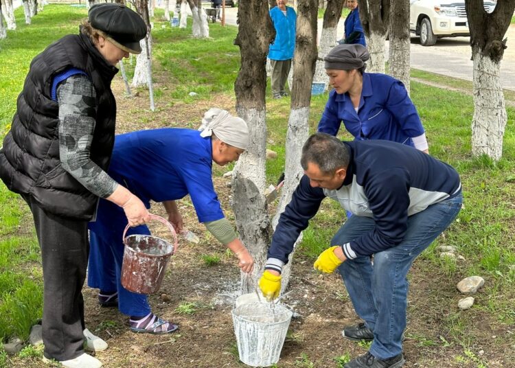 ТҮЛКІБАСТА ЭКОАКЦИЯҒА БАРЛЫҚ АУЫЛ ОКРУГТЕР АТСАЛЫСЫП ЖАТЫР