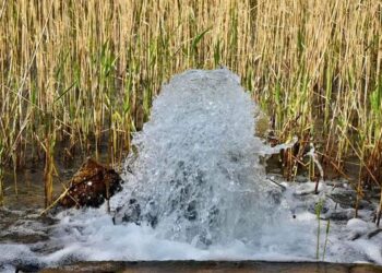 ТҮРКІСТАН: «КИЕЛІ МЕКЕН» АПТАЛЫҒЫНДА СОЗАҚТА БАБА ТҮКТІ ШАШТЫ ӘЗІЗ КЕСЕНЕСІ АУМАҒЫНДА ТАЗАЛЫҚ ЖҰМЫСТАРЫ ЖҮРГІЗІЛДІ