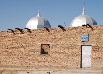 АРЫСТА «МҰҢЛЫҚ-ЗАРЛЫҚ» КЕСЕНЕСІНІҢ АУМАҒЫ ҚОҚЫСТАН ТАЗАРТЫЛДЫ