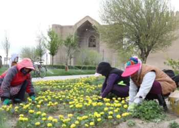 ТҮРКІСТАНДА «ЖАСЫЛ АЙМАҚ» АПТАЛЫҒЫ БАСТАЛДЫ