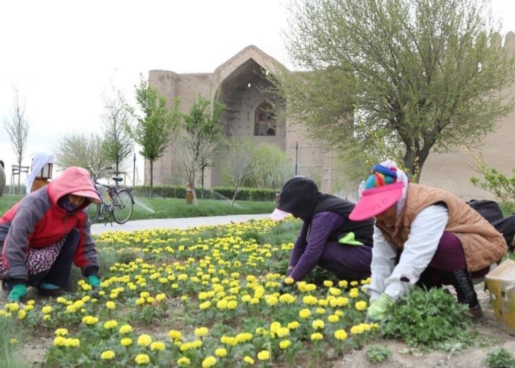 ТҮРКІСТАНДА «ЖАСЫЛ АЙМАҚ» АПТАЛЫҒЫ БАСТАЛДЫ